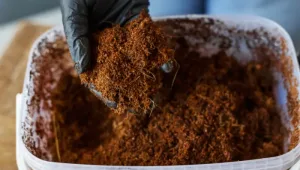 Ini 10 Manfaat Pupuk Organik yang Bantu Petani Meningkatkan Kualitas Hasil Pertanian 1 Pupuk Alami atau Organik