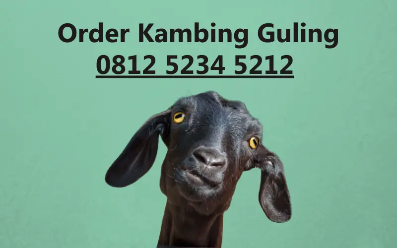 Kambing Guling Malang - www.kambinggulingmalang.com
